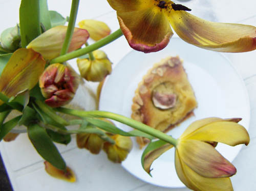 pretentious-tart