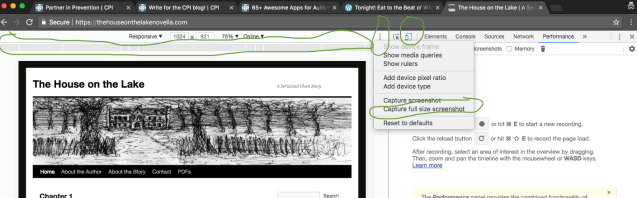capture-screenshot-entire-webpage