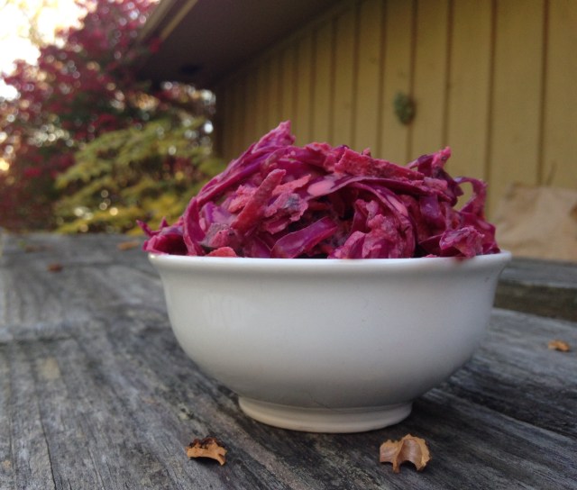 pink-coleslaw-picnic