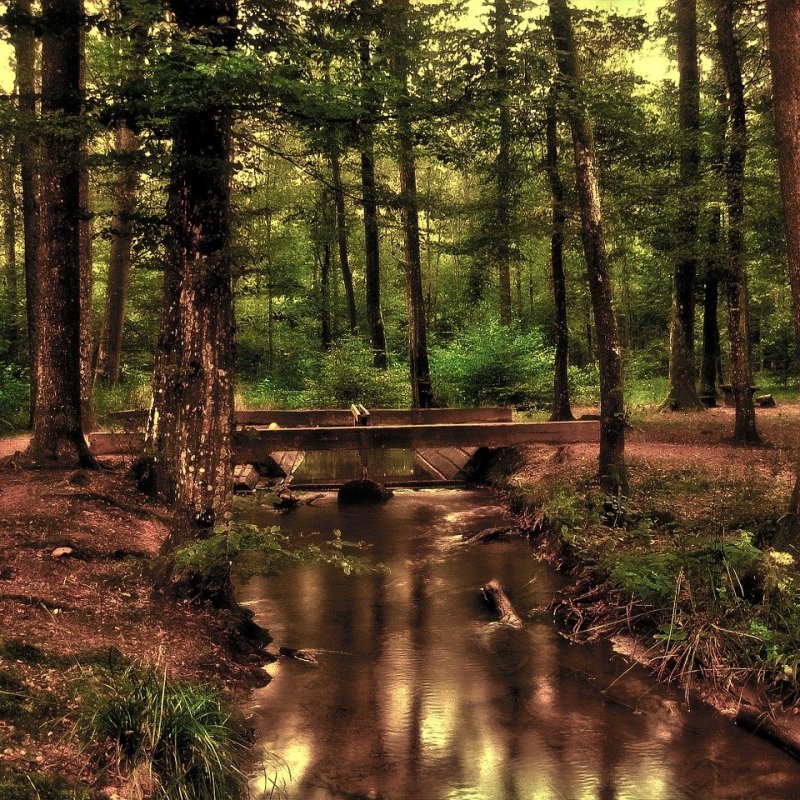 Top 4 Anti-Anxiety Tips for These Crazy&nbsp;Times